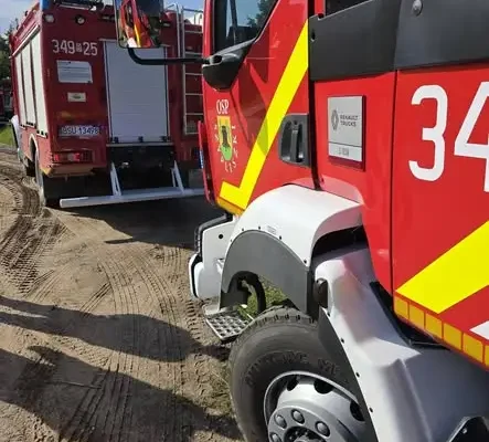 Nietypowa akcja strażaków w Lipniaku: byki wpadły do szamba