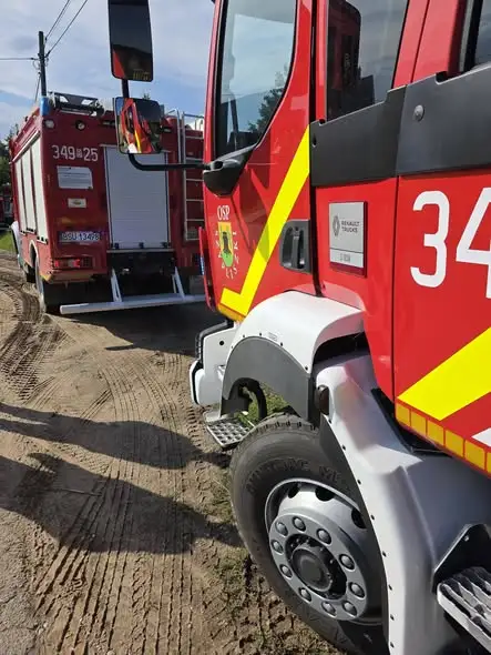 Nietypowa akcja strażaków w Lipniaku: byki wpadły do szamba