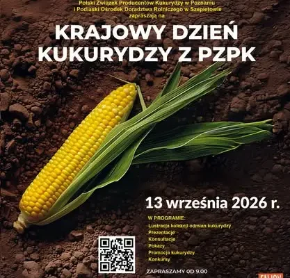 Krajowy Dzień Kukurydzy z PZPK już 13 września w Szepietowie