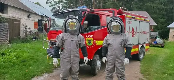 Usunięcie gniazda szerszeni w Krzywólce – interwencja OSP Szypliszki