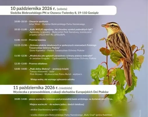 91. Wszechnica Biebrzańska: ochrona ptaków mokradeł w Biebrzańskim Parku Narodowym