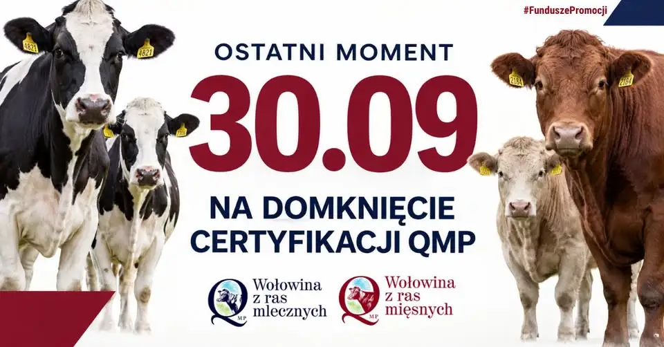 Certyfikat QMP do 30 września – rolnicy z dopłatami bezpośrednimi muszą się pospieszyć
