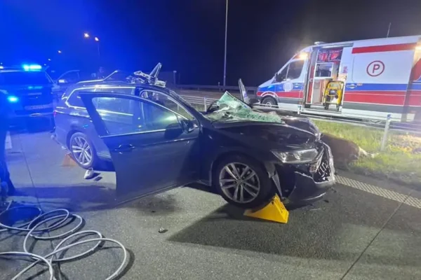 Wypadek na S61: auto zderzyło się z łosiem, dwie osoby ranne