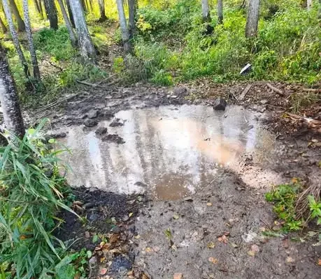 Pożar torfu w lesie pod Budziskiem – akcja strażaków z OSP i PSP