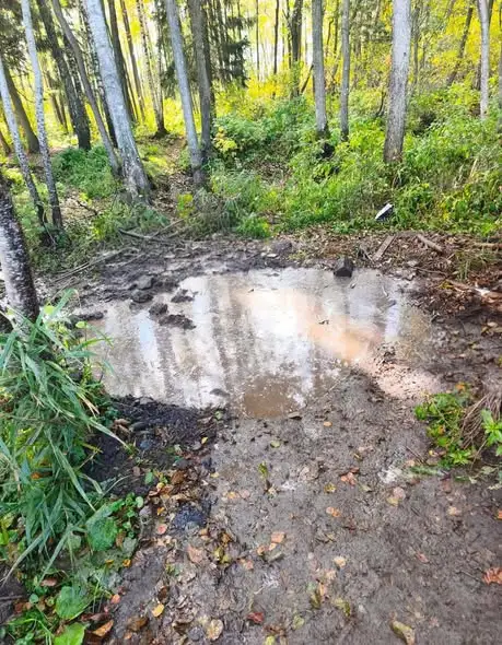 Pożar torfu w lesie pod Budziskiem – akcja strażaków z OSP i PSP